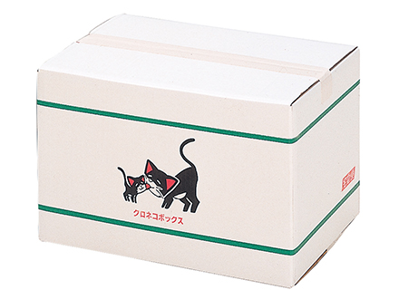 Kuro코인 카지노 코인 카지노 사이트 Box (1986)